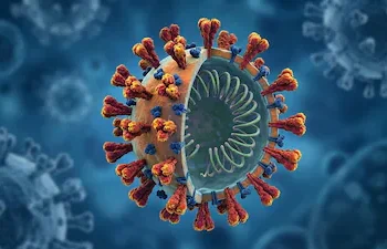 அமெரிக்காவில் பரவும் புதிய வகை கொரோனா…! அலெர்ட் ஆகும் உலகநாடுகள்!